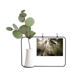 thumbnail image 1 of Luz verde ciencias forestales paisajes naturaleza Marco De Metal Florero De Cerámica Decoración, 1 of 4