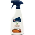 Guardsman Clean & Polish For Wood Furniture Woodland Fresh 16 oz
