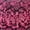 Pink, variant on Radiant Illusion Snake | Luminous Couture Luxe | Spandex Palace