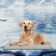 thumbnail image 3 of Summer Pet Supplies - Cat and Dog Pads Self- Ice Pads Breathable Scratch Natural Fabric Washable Indoor/Outdoor Cushion for, 3 of 3