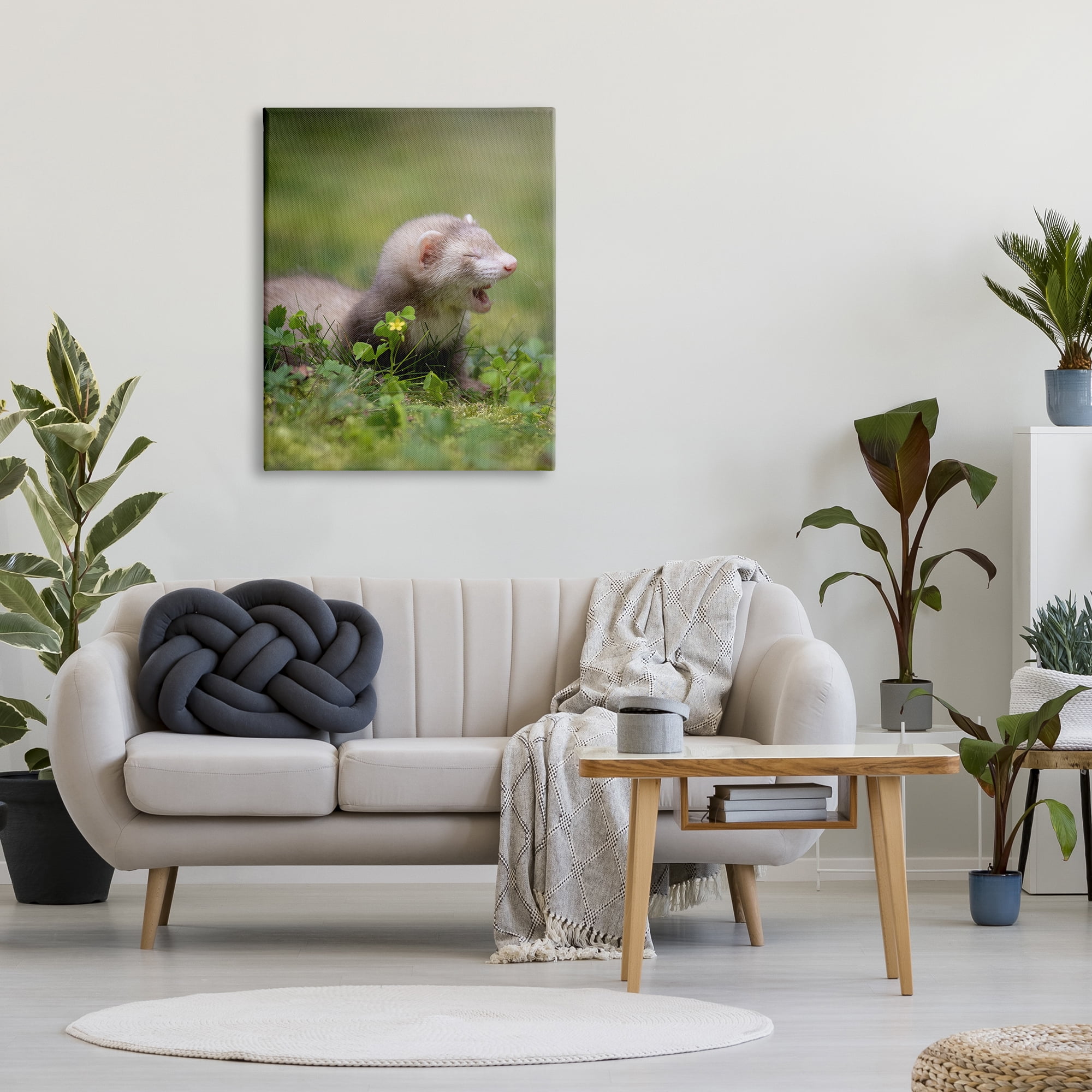 Stupell Industries Baby Ferret in Grass Animals & Insects Photography Gallery Wrapped Canvas Art Print Wall Art, 30 x 40