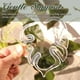 thumbnail image 3 of Billuyoard Plantas plásticas transparentes reutilizables del marco de la fijación de la planta que colocan el clip de bambú alto y orgulloso Jardín y Patio Tipo A, 3 of 6