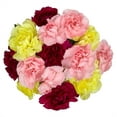 thumbnail image 3 of Mini Carnation Flower Bunch Small, Colors May Vary, 3 of 8