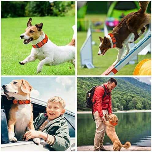 Reflective Dog Collar Heavy Duty Tactical with Control Handle and Metal Buckle for Dog Training(L,Orange)