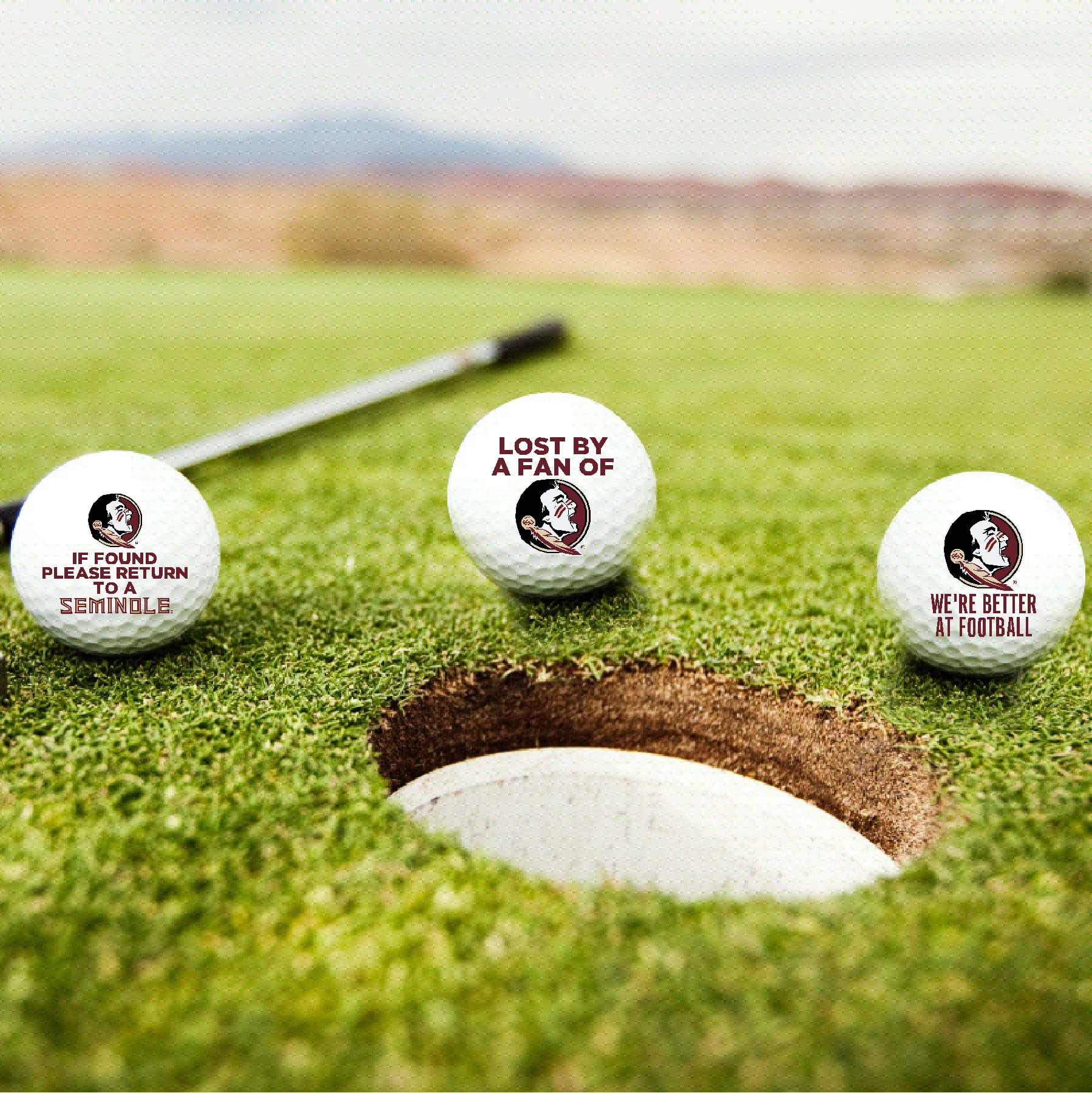 Florida State University Seminoles Edition Funny Officially Licensed NCAA Taylormade Distance+ Golf Balls 12-Pack (Dozen)
