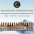 thumbnail image 3 of Rocky Mountain Soda, 24‑Pack 12 Fl Oz Bottles, Small‑Batch Craft Soda Pop, Gluten‑Free, Vegan, Organic Cane Sugar, No Preservatives, No Added Sodium, 12 Flavors Variety Pack Soda Pop, 3 of 9