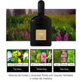 thumbnail image 3 of Set De 4 Perfumes Para Caballero De 25ml c/u Con Diferentes Fragancias Eau de Parfum Men F191, 3 of 9