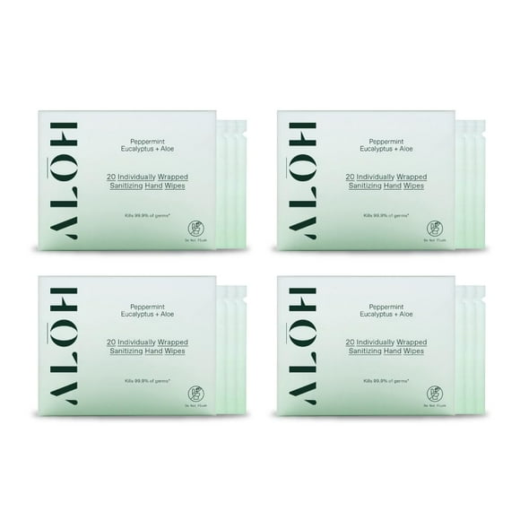 ALÅH Skin - Softening Sanitizing Hand Wipes - Peppermint Eucalyptus + Aloe (4 Boxes of 20 Individually Wrapped Wipes (80 wipes))