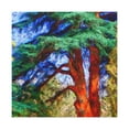 thumbnail image 1 of Cedar Tree Fauvism - Canvas, 1 of 10