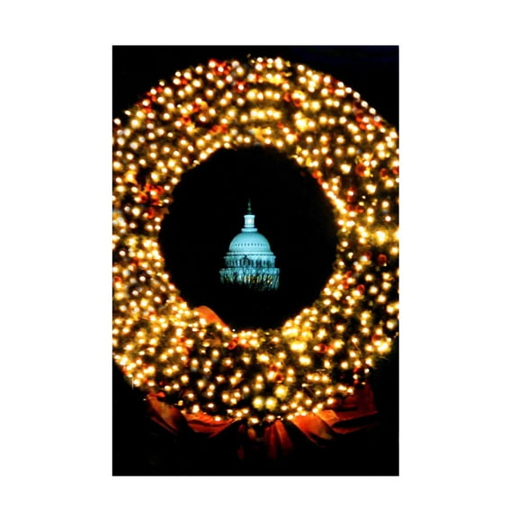 Canvas Wall Art - DANE 'Washington DC 4' Wall Art for Living Room, Bedroom, or Office Décor by Trademark Fine Art - 12 x 19 Inches