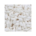 thumbnail image 2 of Topumt 100Pcs Natural Conch Seashell Aquarium Decoration DIY Crafts, 2 of 5