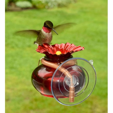 window watch hummingbird feeder walmart com window watch hummingbird feeder walmart com