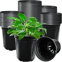 60 Pack 1 Gallon Nursery Plant Pots,Thickened Flexible Plastic Seedling Pot with Holes,Flower Plant Container for Succulents,Cuttings,Transplanting,Home Garden(Black)