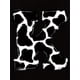 thumbnail image 2 of Chic Leopard Print & Letter Graphic Tee for Women - Casual Crew Neck Short Sleeve T-Shirt, Stretchy Polyester Blend, Machine Washable - Perfect for Summer, 2 of 6