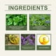 thumbnail image 5 of Aceite Calmante y Nutritivo Corporal onlyliua 30 ml Base Plantas Orégano, 5 of 6