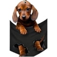 thumbnail image 4 of Cachorro Colgante Coche Tamaño Compacto Colgante Mini Juguetes Regalos (Estilo A), 4 of 4