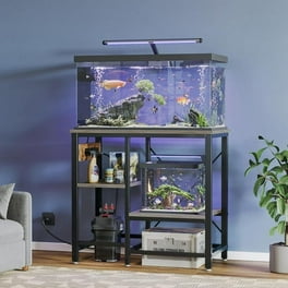 Aquarium Cabinet for Co2 Systems: Ultimate Storage & Efficiency Guide