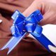 thumbnail image 4 of Bewildely 10pcs Belleza Organza Cinta Lazos Coche Boda Regalo Decoración Envolvente Kits de decoración para fiestas azul Bewildely JJ15892-03, 4 of 6
