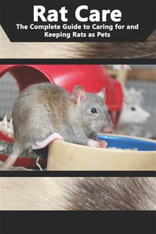 Walmartinfested With Rats Pre-Owned Rat Care: The Complete Guide to Caring for and Keeping Rats ...