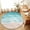 Green, variant on Round Area Rugs 3.3Ft, Navy Blue Coastal Non-Slip Washable Circle Rugs Carpet, Waves Summer Beach Ocean Sea Indoor Outdoor Rug Floor Mats Throw Runner for Bedroom Living Room Bathroom