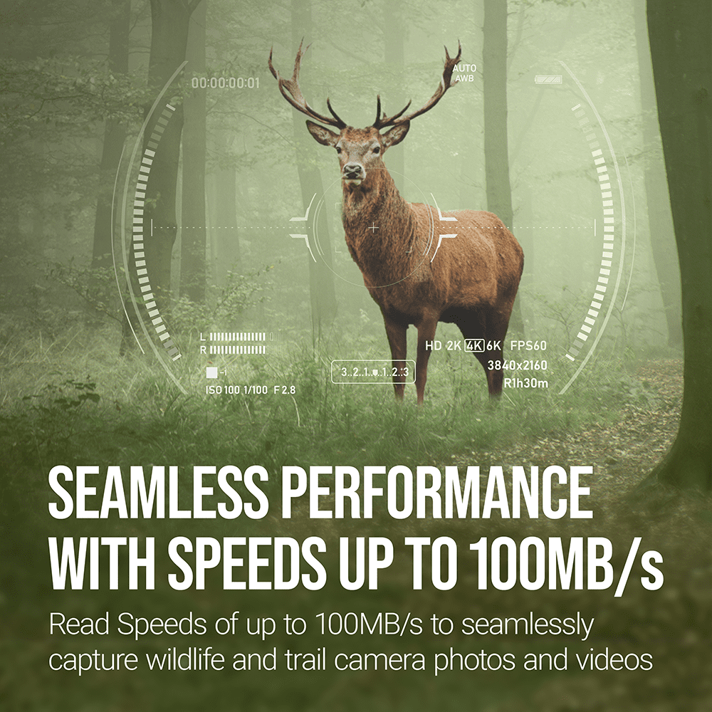 PNY 32GB Elite Class 10 U1 V10 SDHC Trail Camera Flash Card - Read up to 100MB/s, UHS-I, HD Outdoor & Wildlife Content, 2-Pack (Packaging May Vary)