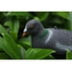 thumbnail image 5 of Señuelo Jardín Defensa Disuadir Scarer Espantapájaros, 5 of 8