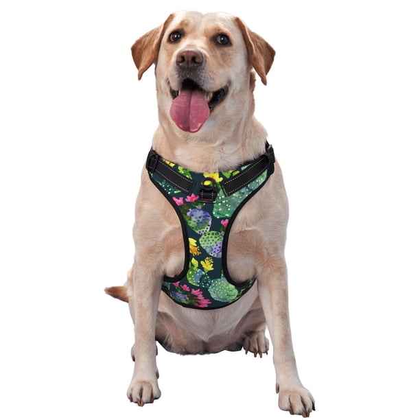 Fotbe Watercolor Cactuses Arnés para Perro con Estampado –Chaleco Ajustable Acolchado con Asa de Control para Perros Grandes-Large