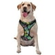 thumbnail image 1 of Fotbe Watercolor Cactuses Arnés para Perro con Estampado –Chaleco Ajustable Acolchado con Asa de Control para Perros Grandes-Large, 1 of 6