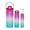 B, variant on Water Bottle Plastic Gradient Color Matte Finish Style 4 for Home & Office Use BPA Free Food Grade Material Durable Construction Leak Proof Design Easy to Clean Dishwasher Safe Reusable