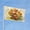 Highland Cow, variant on Welcome Floral Butterfly Dachshund Garden Flags for Outside 3x5 Ft Double Sided Large House Flag Cute Paw Dachshund Flags Housewarming Gifts for Women Men Dog Lovers House Yard Outdoor Patio Decor