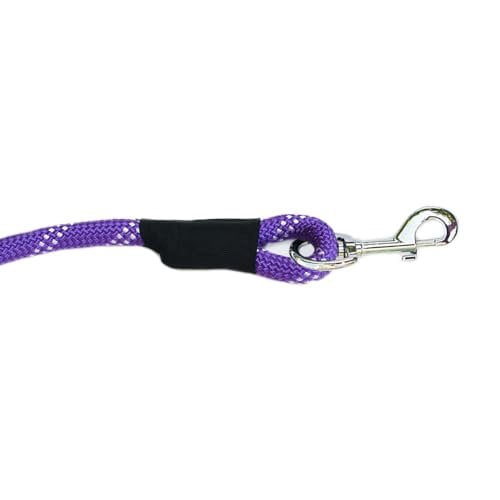 Climbers Dog Leash 6ft Purple