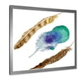 thumbnail image 2 of Designart 'Abstract Bird Feather From Wing Isolated' Bohemian & Eclectic Framed Art Print, 2 of 4