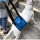 thumbnail image 1 of Arnés de rehabilitación para perros domésticos, 1 of 5