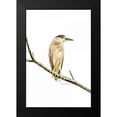 thumbnail image 2 of Murdock, Ramona 17x24 Black Modern Framed Museum Art Print Titled - Amazon Heron, 2 of 5