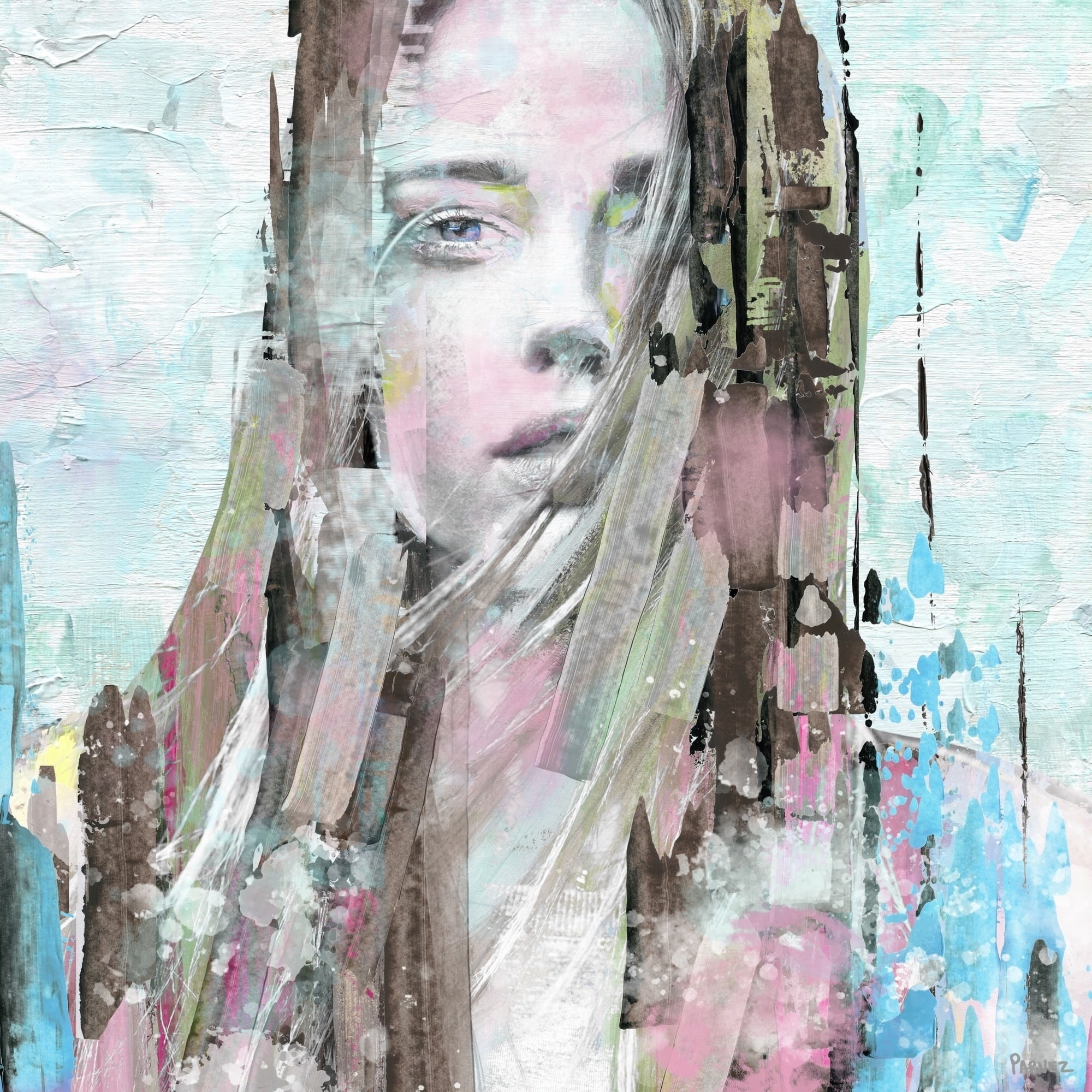 Parvez Taj Mind Blowing Beauty Canvas Wall Art