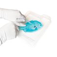 thumbnail image 3 of Piranha au labo Dissect-It, 3 of 5