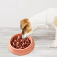 thumbnail image 5 of Travelwant Dog Bowl Slow Feeder Dog Food Dish Dogs Feeding Puzzle Anti-Gulping Slow Eating Dog Bowl for Fast Eaters, 5 of 7
