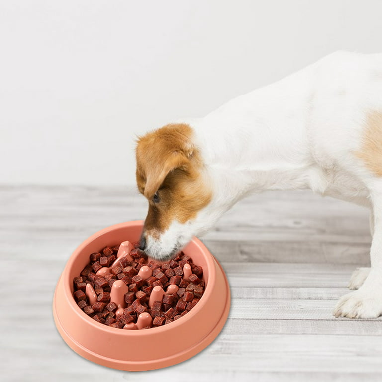 Slow Dog Bowl for Large Dogs, Anti-Gulping Dog Feeder – TekDukan