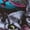 1 Black, variant on Women Crew Soft Moisture-wicking Socks Happy Kitten Faces Pattern Design Cotton Socks, One Size fit All
