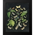 thumbnail image 2 of Wild Apple Portfolio 20x24 Black Modern Framed Museum Art Print Titled - Butterfly Bouquet on Black III, 2 of 5
