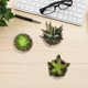 thumbnail image 5 of Juego de 3 pequeñas plantas artificiales decorativas para interiores y exteriores, suculentas en maceta para oficina, balcón, sala de estar y hogar", 5 of 5