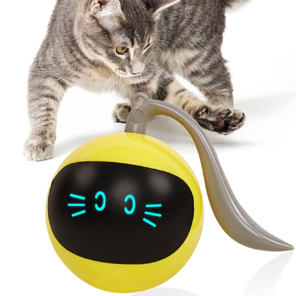 Interactive cat toy ball The best smart cat interactive toy with
