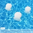 thumbnail image 4 of 6 Uds Piscina Filtro Absorbente Aceite Esponja SPA Herramientas Limpieza, 4 of 9
