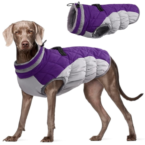 Abrigo para perro FUAMEY, impermeable, resistente al viento, color morado, XL