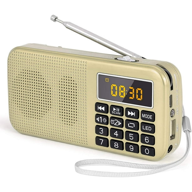 Radio Portable, Radio FM avec Batterie Rechargeable de Grande Capacité  (3000mAh), Prise en Charge MP3 / SD/USB/AUX,Or 