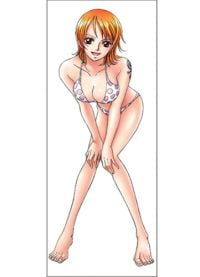 one piece anime body pillow