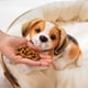 thumbnail image 4 of Nuevo juguete de peluche de perro dálmata, lindo cachorro beagle realista de peluche, muñeco de decoración para el hogar, regalo de cumpleaños para niños de alta calidad, 4 of 5