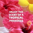 thumbnail image 4 of Gain Happy Hibiscus Hula Mega Dryer Sheets - 60 ct, 4 of 5
