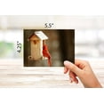 thumbnail image 4 of Midwest Backyard Bird Greeting Cards With Identification Card - 12 Different Birds - Blank on the Inside - 5.5" x 4.25" (12 Pack), 4 of 6