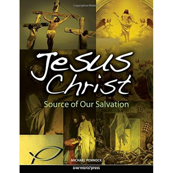 Pre-Owned Jesus Christ: Source of Our Salvation (Paperback) 1594711887 9781594711886